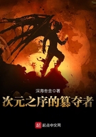 次元之序的篡夺者在线阅读