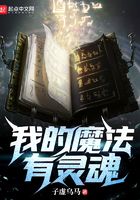 我的魔法有靈魂在線閱讀