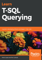 Learn T-SQL Querying在线阅读