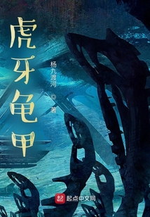 虎牙龜甲4