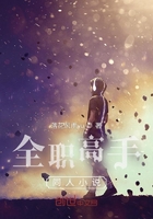 全职高手同人小说在线阅读