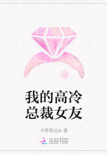 我的高冷總裁女友