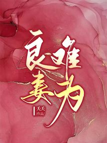 良妻難為