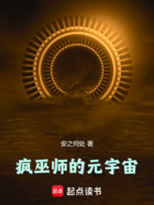 疯巫师的元宇宙在线阅读