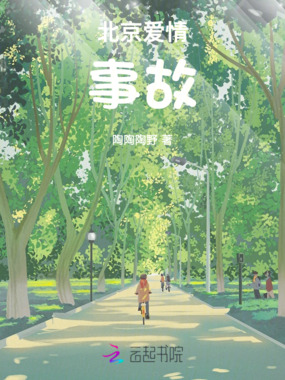 北京爱情事故在线阅读
