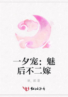 一夕寵：魅后不二嫁在線閱讀