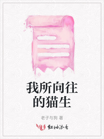 我所向往的貓生