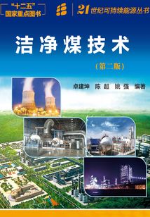 潔凈煤技術（第二版）