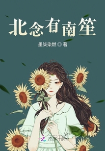 北念有南笙