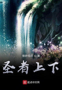 圣者上下
