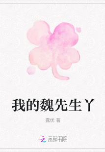 我的魏先生丫