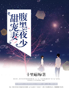 腹黑夜少甜宠妻在线阅读