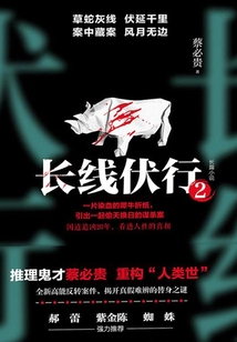 長(zhǎng)線伏行2