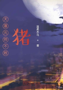 天蓬元帥不姓豬