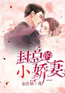 封總的小嬌妻