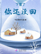 下雪了，你还没回在线阅读