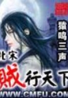北宋賊行天下在線閱讀