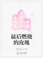 最后燃烧的玫瑰在线阅读