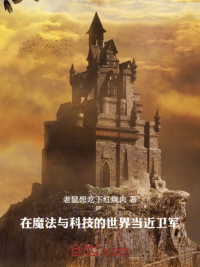 在魔法与科技的世界当近卫军在线阅读