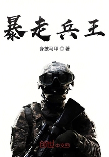暴走兵王