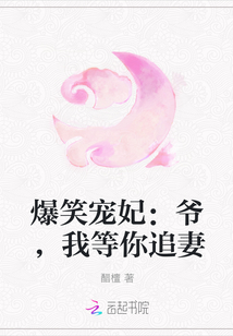 爆笑寵妃:爺,我等你追妻