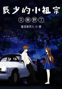 辰少的小祖宗又撒野了