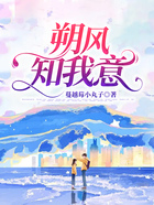 朔風知我意在線閱讀
