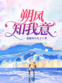朔風知我意