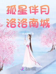 孤星伴月:洛洛南城