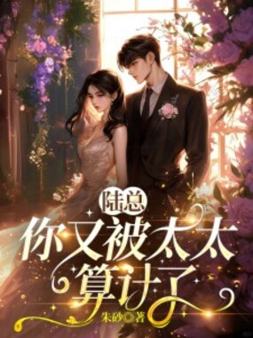 陆总，你又被太太算计了在线阅读