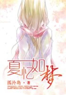 夏憶如夢