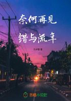 奈何再見錯與流年在線閱讀