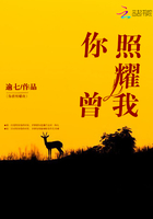 你曾照耀我在線閱讀