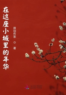 在這座小城里的年華