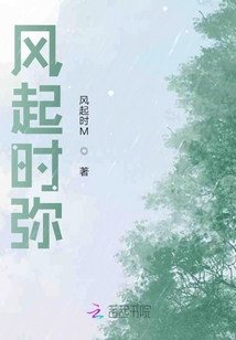 風起時彌