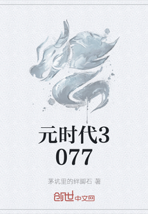 元时代3077