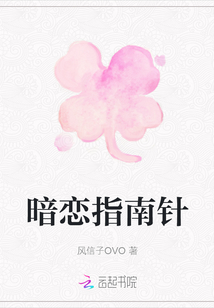 暗戀指南針