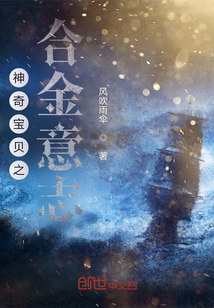 神奇寶貝之合金意志