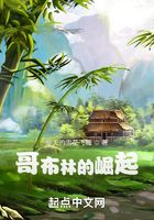 哥布林的崛起在线阅读