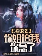 被你分手,你姐追我你急了