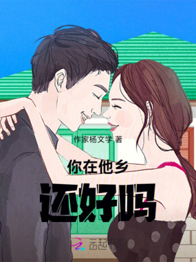 你在他乡还好吗在线阅读