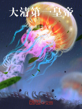 大清第一皇帝在线阅读
