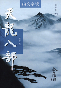 天龍八部（第五卷）（純文字新修版）
