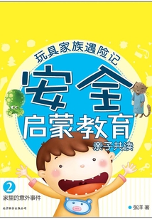 玩具家族遇險記2：家里的意外事件