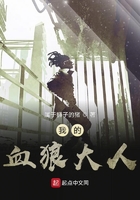 都市之凡说在线阅读