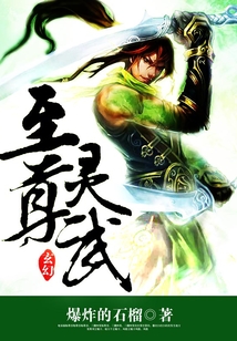 至尊灵武 cover