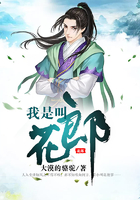 我是叫花郎