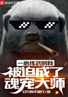 一心练武的我被迫成了魂宠大师