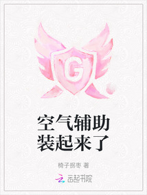 空氣輔助裝起來了