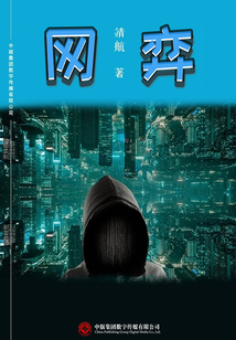 网弈(“网探”系列三部曲之二)